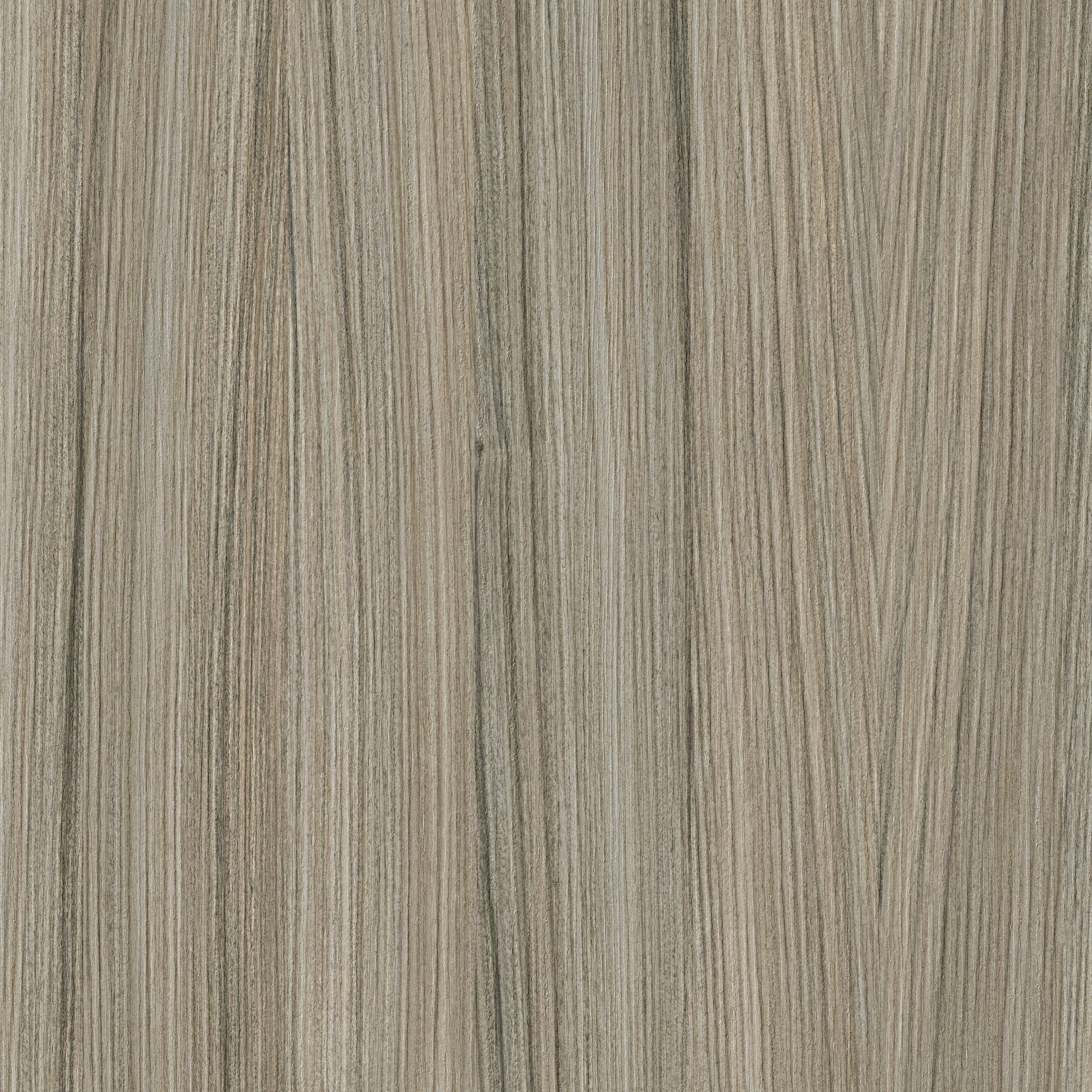 Sandwood Grey